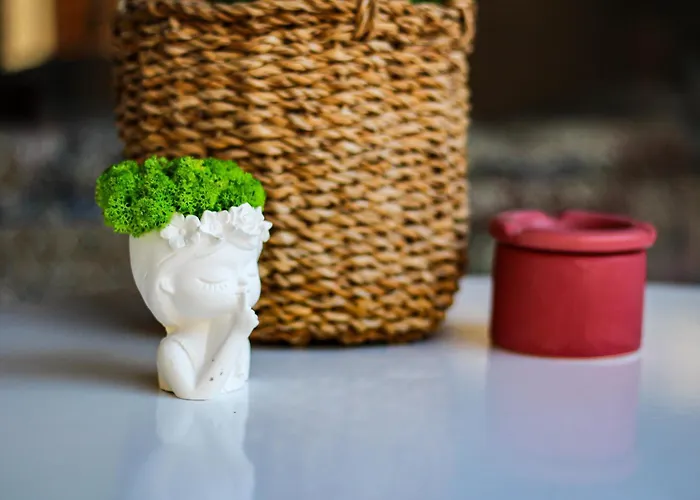 R34 Boutique 4* 大特尔诺沃